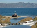Лосей и снежных баранов Чукотки поделили между коренными и охотниками-любителями

На Чукотке приближается пора охоты на парнокопытных животных. Разрешено добыть 114 лосей