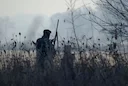 How often do hunting accidents happen in France?

Two people were injured by stray bullets from hunters last week, as head of hunting federation says ‘zero risk’ hunting 