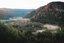 Découvrez la Chasse dans le JURA: Faune typique, clubs actifs, réglementation locale et terrains de chasse emblématiques

Le Jura, région montagneuse du Grand Est françai