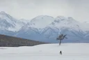 Hunter Found Dead in Mongolian Wilderness: Extreme Cold Claims Another Victim – Safety Alert for Outdoor Enthusiasts

Description: A 56-year-old man froze to death while 