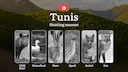 Hunting Seasons in TUNIS: Key Hunting Periods, General Rules, Restrictions and Protected Species, Legal Requirements and Practical Tips
Tunis offers diverse hunting oppor