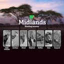 When the Miombo Woodlands Whisper: Midlands' Premier Hunting Seasons and Calendar and Trophy Opportunities

Hunting Regulations and Seasonal Framework in Midlands

The of