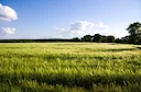 La Chasse dans la SARTHE: Explorez la Géographie, Naviguez dans les Saisons de Chasse et Découvrez des Faits Intéressants

Le département de la Sarthe, situé en région Pa