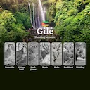 Gilé’s Hunting Calendar: Decoding the Best Months for Big Game, Bird Shooting, and Sustainable Safari Adventures in Central Mozambique

Tucked away in central Mozambique 