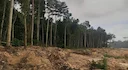 Ghana Repeals Mining Law: Verified Forest Data for Outdoor Communities
Ghana repealed mining law L.I. 2462 in Dec 2025. Verified: 9M+ hectares forest reserves protected, Ghana Repeals Mining Law: Verified Forest Data for Outdoor Communities
Ghana repealed mining law L.I. 2462 in Dec 2025. Verified: 9M+ hectares forest reserves protected,