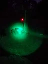  Night hunting presents unique challenges. We discuss the challenges as well as the opportunities available with new technology.       
As discussed in previous Hogman Ou