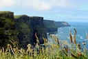 Clare Woodcock Hotspots in Munster, Ireland: A Hunter’s Guide. Demographics, Laws and Seasons

Clare, located in the heart of Ireland’s Munster province, is a hidden gem 