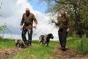 Jagd im SPESSART: Wildreichtum, Regionale Jagdbesonderheiten, Saisonale Jagdzeiten, Jagdorganisationen und Rechtliche Grundlagen

Der Spessart, ein weitläufiges Mittelgeb