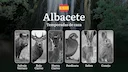 Temporadas y períodos de caza en ALBACETE: Fechas, Especies y Normativas para el Cazador

Albacete, situada en el corazón de Castilla-La Mancha, es un paraíso para los am