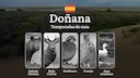 Gestión Cinegética en DOÑANA: Temporadas y períodos de caza, Cupos Estrictos, Licencias con Restricciones y Monitoreo Científico

El Parque Nacional de Doñana, ubicado en