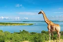 Hunting in Kiboga, Uganda: Geographical Features, Wildlife, Hunting Seasons, and Laws

Kiboga is a lesser-known region in central Uganda that offers an intriguing yet und