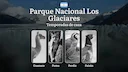 Parque Nacional Los Glaciares, Argentina: normas generales y temporadas, fechas, reglas y particularidades, restricciones y prohibiciones

Normas generales y temporadas d