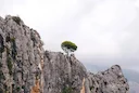 Caza en Asturias: Caza Sostenible Entre Montañas, Valles y Reservas Naturales del Paraíso Verde del Norte de España

Asturias, situada en el Norte de España, es una regió