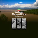 Seasons of Hunting in NECHISAR NATIONAL PARK, Ethiopia: Seasons and Dates of Hunting, Licenses, and Features, Timing, Tactics
 
Hunting Nature Rules and Timeframes in Nec