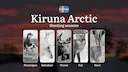 Hunting Periods and Local Rules in KIRUNA ARCTIC: Species You Can Hunt Throughout the Year, Seasonal Activity of Game, and the Steps to Get a Legal Hunting License in the