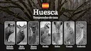Temporadas y períodos de caza en HUESCA: Fechas, Normativas y Épocas Ideales para la Práctica Cinegética
La provincia de Huesca, situada en Aragón, es un auténtico paraí Temporadas y períodos de caza en HUESCA: Fechas, Normativas y Épocas Ideales para la Práctica Cinegética
La provincia de Huesca, situada en Aragón, es un auténtico paraí