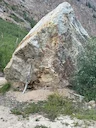 I was taking a hike up a centennial 13er in the San Juans on Tuesday morning and was, uh, surprised to meet up with a couple of female moose on my path up. We had a stand