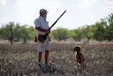 Prohibición de caza en la provincia de Misiones: un paso hacia la conservación de la biodiversidad

La provincia de Misiones, ubicada en el noreste de Argentina, es conoc