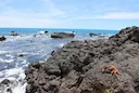 Hawaii’s "Try Wait" Fishing Ban: 10-Year Moratorium Set to Lift in July 2026 Amid Heated Debates
Anglers and conservationists in Hawaii are closely watching the Big Islan