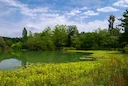 Chasse en SOLOGNE: Caractéristiques géographiques, législation locale, traditions de chasse et associations de passionnés

La Sologne, région naturelle située au cœur de 
