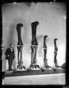 Henry Osborn – bone hunter

On a photo paleontologist Henry Osborn with dinosaur limbs, 1899.

Henry Osborn was the first man to describe the complete skeleton of Tyranno