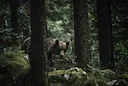 Black Bear Fatally Mauls Camper in U.S. Wilderness: Tragedy Sparks Renewed Debate on Wildlife Safety

A tragic incident in early October 2025 has left the outdoor communi