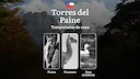 La región de Torres del Paine, Chile: temporadas de caza, épocas, reglas y recomendaciones para cazadores experimentados

¿Cómo se regula la caza en Torres del Paine? Tem