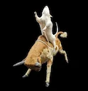 Bull Riding Rat Taxidermy
Creating a Bull Riding Rat taxidermy piece involves a blend of creativity and traditional taxidermy techniques. Here's a simplified process:
Pr Bull Riding Rat Taxidermy
Creating a Bull Riding Rat taxidermy piece involves a blend of creativity and traditional taxidermy techniques. Here's a simplified process:
Pr