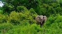 Hunting in Upper West: Exploring Geography, Navigating Regulations, and Discovering Local Traditions

The Upper West Region, located in the far northwest of Ghana, is kno