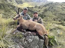 Die Jagd im Murtal: Organisationen, Landschaft, Struktur, Wildtierbestände, Jagdtechniken, Rahmenbedingungen, Vorschriften, Bräuche und Aspekte
Lokale Organisatio Die Jagd im Murtal: Organisationen, Landschaft, Struktur, Wildtierbestände, Jagdtechniken, Rahmenbedingungen, Vorschriften, Bräuche und Aspekte
Lokale Organisatio