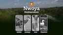Nwoya: Hunting Activity Periods, Protected Species and Seasonal Restrictions, Obtaining a License, Penalties That Affect Your Hunt, Expert Advice, Timing, Equipment

Hunt