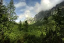 Poľovníctvo na Slovensku

Na Slovensku sa zachoval pomerný počet všetkých európskych dravcov. Obyvatelia krajiny môžu byť hrdí na to, že majú „európsku trojku“ dravcov: n