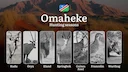 Hunting Seasons in Omaheke: Regulations, Licensing, Legal Risks, Planning, and Equipment Advice

Hunting in Omaheke, Namibia, is regulated by a robust legal framework aim