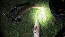 Привет, друзья рыболовы! Вот что я могу рассказать о моей ночной рыбалке с хорошим уловом:

Недавно отправился я на ночную рыбалку вместе с друзьями, и у нас было весьма 