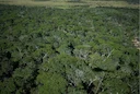  Angola's "Source of Life" Becomes a Global Conservation Milestone: Africa's Newest Mega-Wetland 

📢 Angola has just secured a monumental environmental achievement with 