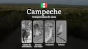 Temporadas y períodos de Caza en Campeche: Patrones Estacionales y Normativas, Cómo Obtener un Permiso 

Campeche, en el sureste de México, es un destino privilegiado par