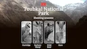 Hunting Dates in Toubkal National Park: Seasonality of Hunting, Timing and Regulations, Hunting Permits, Restrictions and Prohibitions
 
 Toubkal National Park, located i