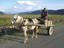 Albania's Hunting Ban: Birds and Mammals Get a Two-Year Break

Vast numbers of European birds and other wildlife will be spared from illegal slaughter, thanks to a two-ye