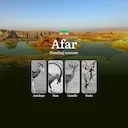 Hunting Seasons in Ethiopia, The AFAR Region: Restrictions, Bans, and Protected Species, Choosing Timing, Gear, and Tactics

Hunting in Ethiopia is not only a deep-rooted