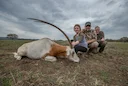 Explore the challenges and ethics of desert gazelle hunting in the Dakhla region, Morocco. Understand the unique environment and responsible pursuit of this elusive game.