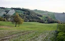 Caccia nelle Cinque Terre: Equilibrio tra Tradizione, Natura Incontaminata e Rigore Normativo
Le Cinque Terre, con i loro paesaggi mozzafiato e la natura incontaminata, Caccia nelle Cinque Terre: Equilibrio tra Tradizione, Natura Incontaminata e Rigore Normativo
Le Cinque Terre, con i loro paesaggi mozzafiato e la natura incontaminata,