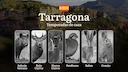Temporadas de Caza en TARRAGONA: Normativas, Temporadas y períodos de caza, Consejos para una Caza Responsable

¿Estás planeando una jornada de caza en Tarragona y necesi