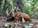 Hunting in South-West Cameroon: Coastal Mountains, Cross-Border Forests, and the Living Echoes of Tradition in a Region of Biodiversity and Complexity
From mangrove swam Hunting in South-West Cameroon: Coastal Mountains, Cross-Border Forests, and the Living Echoes of Tradition in a Region of Biodiversity and Complexity
From mangrove swam