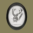 SAUER & SOHN Hunting Rifles Reviews, Tips, Classic Guns & Owners avatar