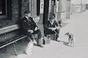 City hunt. Ferrets, terriers and rat hunters.
In the grimy, war-torn streets of 1930s and 1940s England — particularly in industrial cities like London, Manchester, and City hunt. Ferrets, terriers and rat hunters.
In the grimy, war-torn streets of 1930s and 1940s England — particularly in industrial cities like London, Manchester, and