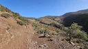 Quail Hunting Morocco 2025: Season Dates, Best Regions, Gear & Regulations
Quail hunting in Morocco is fast-paced, affordable, and accessible. With high bird density acr Quail Hunting Morocco 2025: Season Dates, Best Regions, Gear & Regulations
Quail hunting in Morocco is fast-paced, affordable, and accessible. With high bird density acr