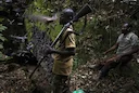Hunting in Ogooué-Lolo, Gabon: Geography, Demographics and Hunting Seasons, Hunting Legislation of Gabon

Geographical and Natural Features in Ogooué-Lolo

Ogooué-Lolo Pr