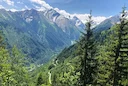 Die Jagd im Raum Innsbruck Land: Gegebenheiten, Jäger, Wildtierbestände, Jagdmethoden, Zeiträume, Vorschriften, Organisationen, Traditionen, Aspekte
Landschaftl Die Jagd im Raum Innsbruck Land: Gegebenheiten, Jäger, Wildtierbestände, Jagdmethoden, Zeiträume, Vorschriften, Organisationen, Traditionen, Aspekte
Landschaftl