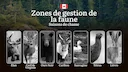 Les périodes de chasse dans les ZONES DE GESTION DE LA FAUNE: dates officielles, obtention des permis, réglementation stricte et périodes optimales
La chasse dans les zo Les périodes de chasse dans les ZONES DE GESTION DE LA FAUNE: dates officielles, obtention des permis, réglementation stricte et périodes optimales
La chasse dans les zo