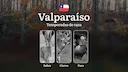 Región de Valparaíso: Temporadas de caza en Chile — épocas, licencias y normas para una caza exitosa, características estacionales y prohibidas

Cómo se regulan las tempo
